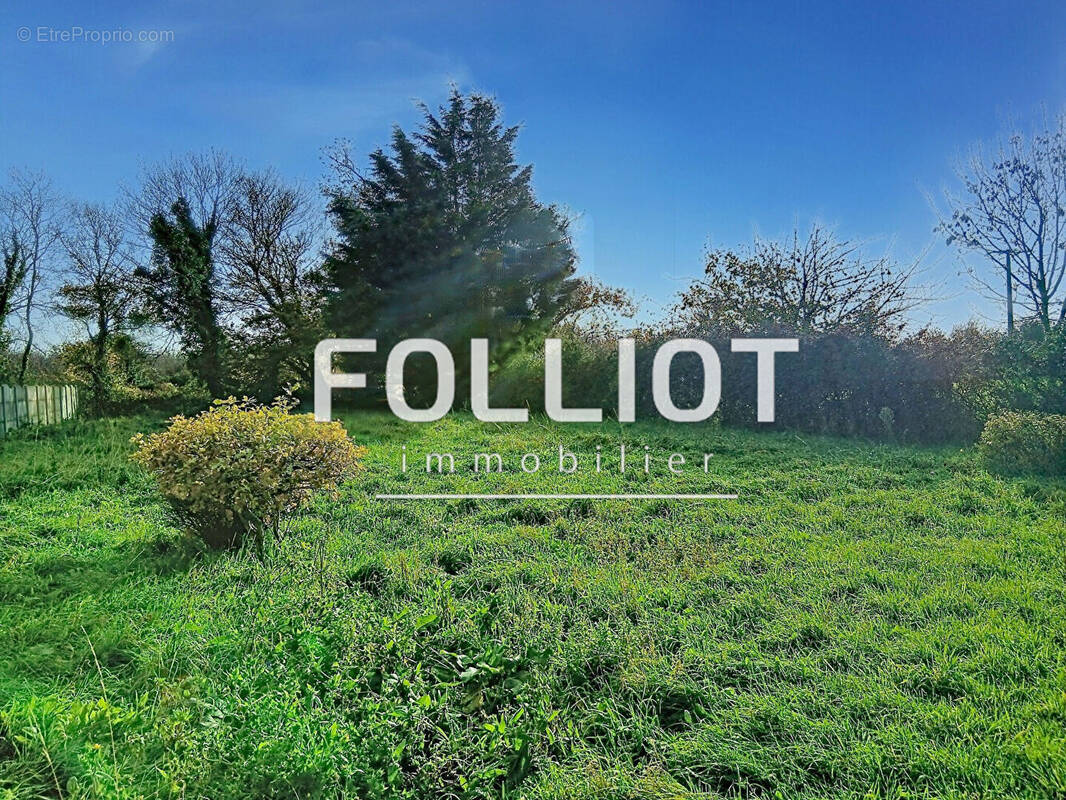 Terrain à LA HAYE-DU-PUITS