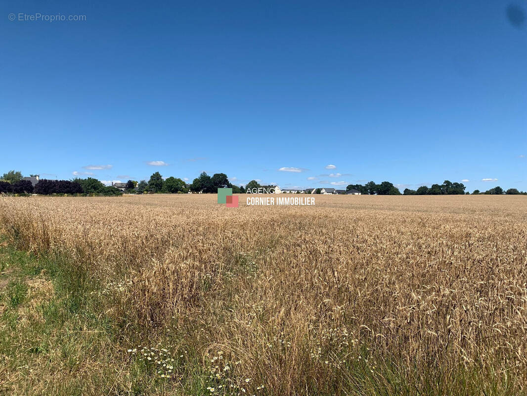Terrain à DOMAGNE