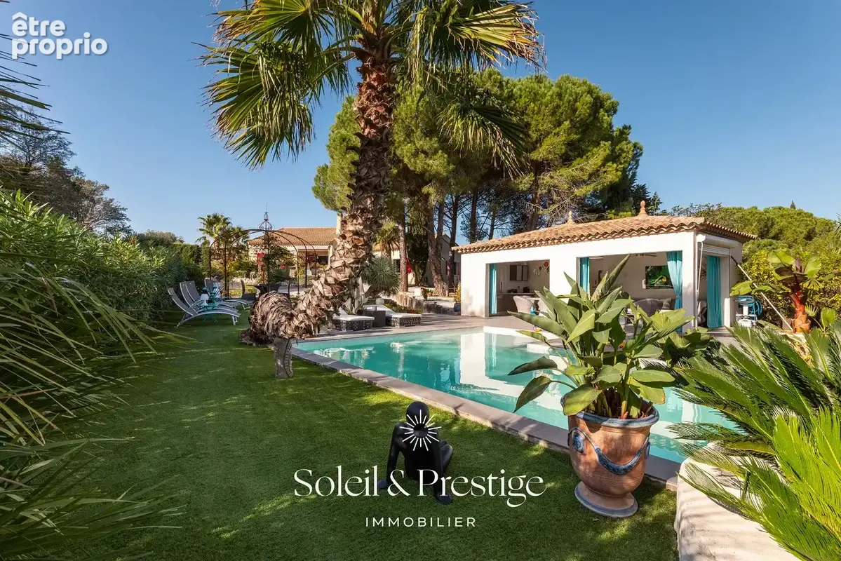 TOURBES - Maison d'architecte avec dépendance, piscine, double garage sur terrain arboré - photo 8