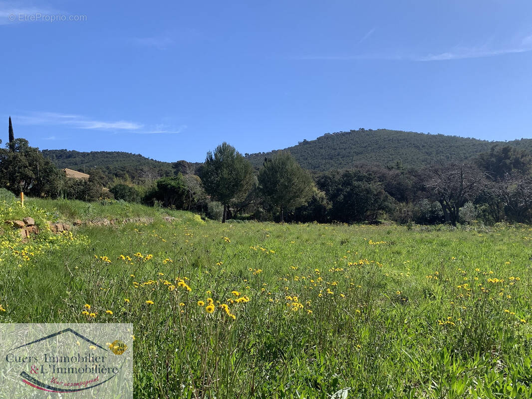 Terrain à LE PRADET