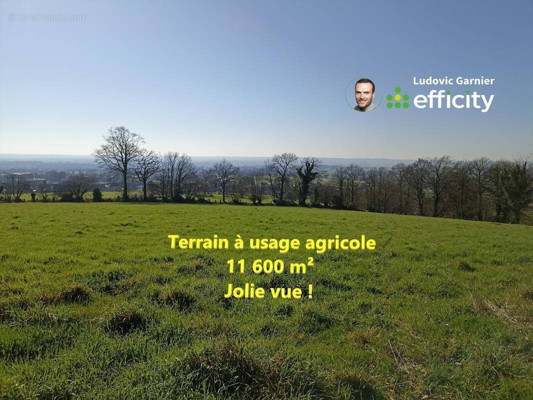 Terrain à ROMAGNY