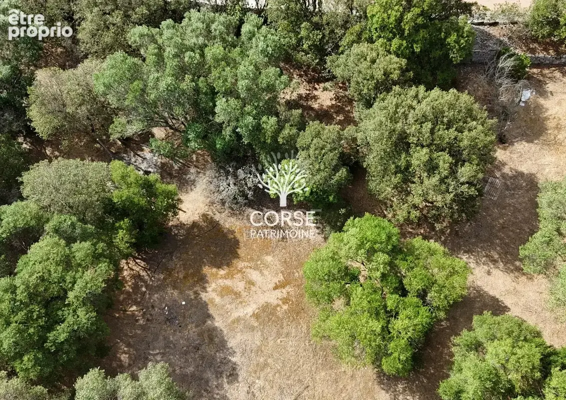BIEN TRES RARE !!! Terrain constructible à BONIFACIO - photo 3