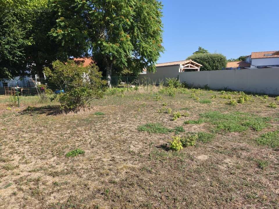 Terrain 770 m² à La Tremblade  - photo 2