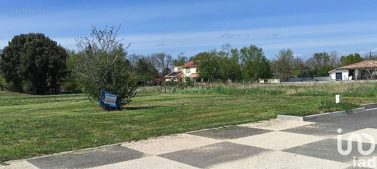 Photo 6 - Terrain à MURET