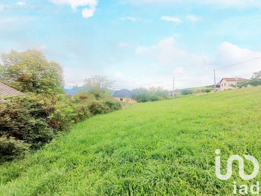 Photo 1 - Terrain à CELLIEU