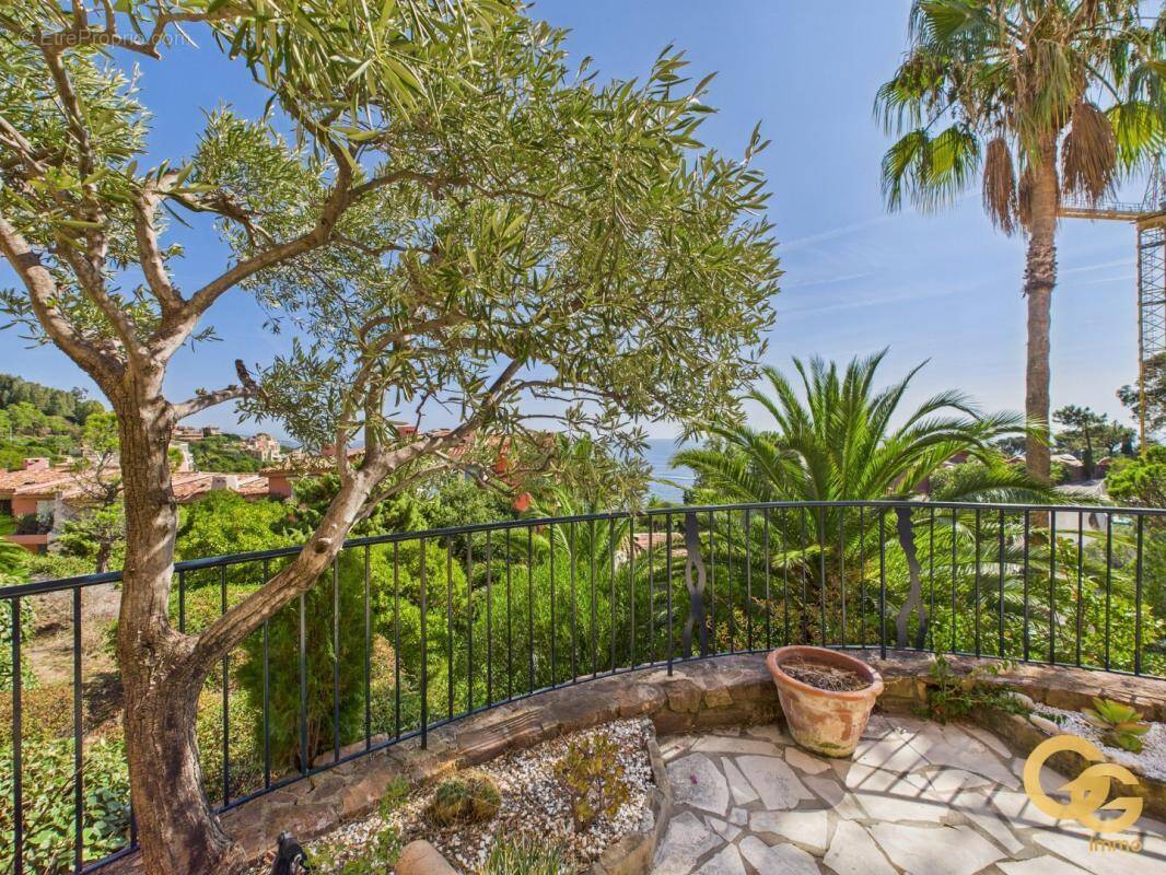 Appartement à THEOULE-SUR-MER