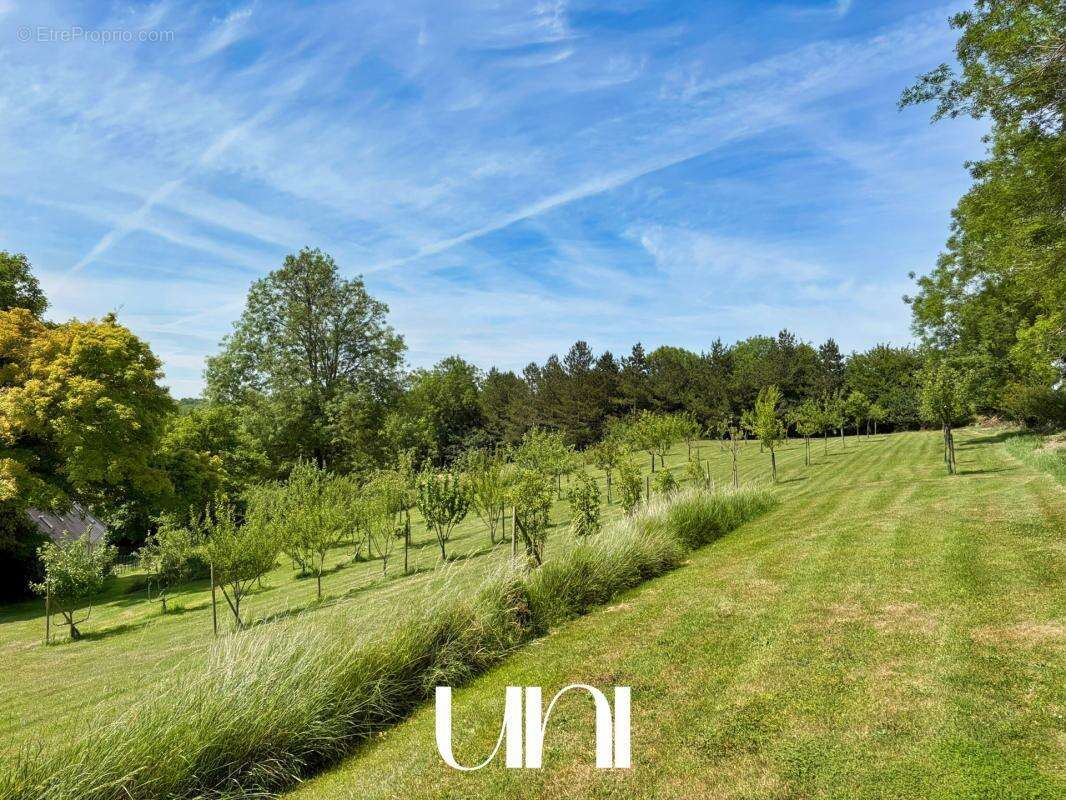 Maison 8 pièces de 220m2 avec 18500m2 de terrain à MOULINS EN BESSIN - photo 28