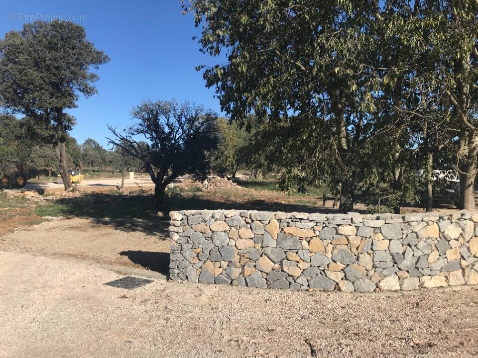 Terrain à COURNONSEC