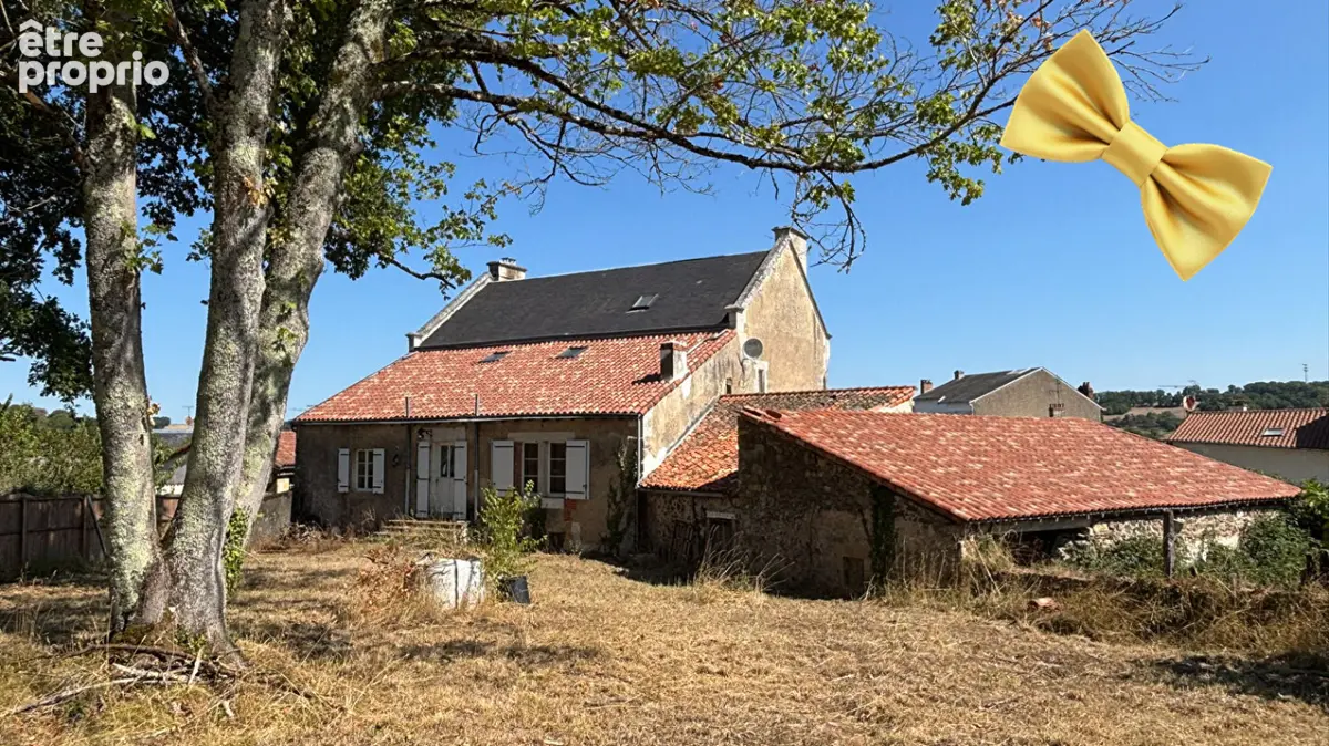 Autre à AVAILLES-LIMOUZINE