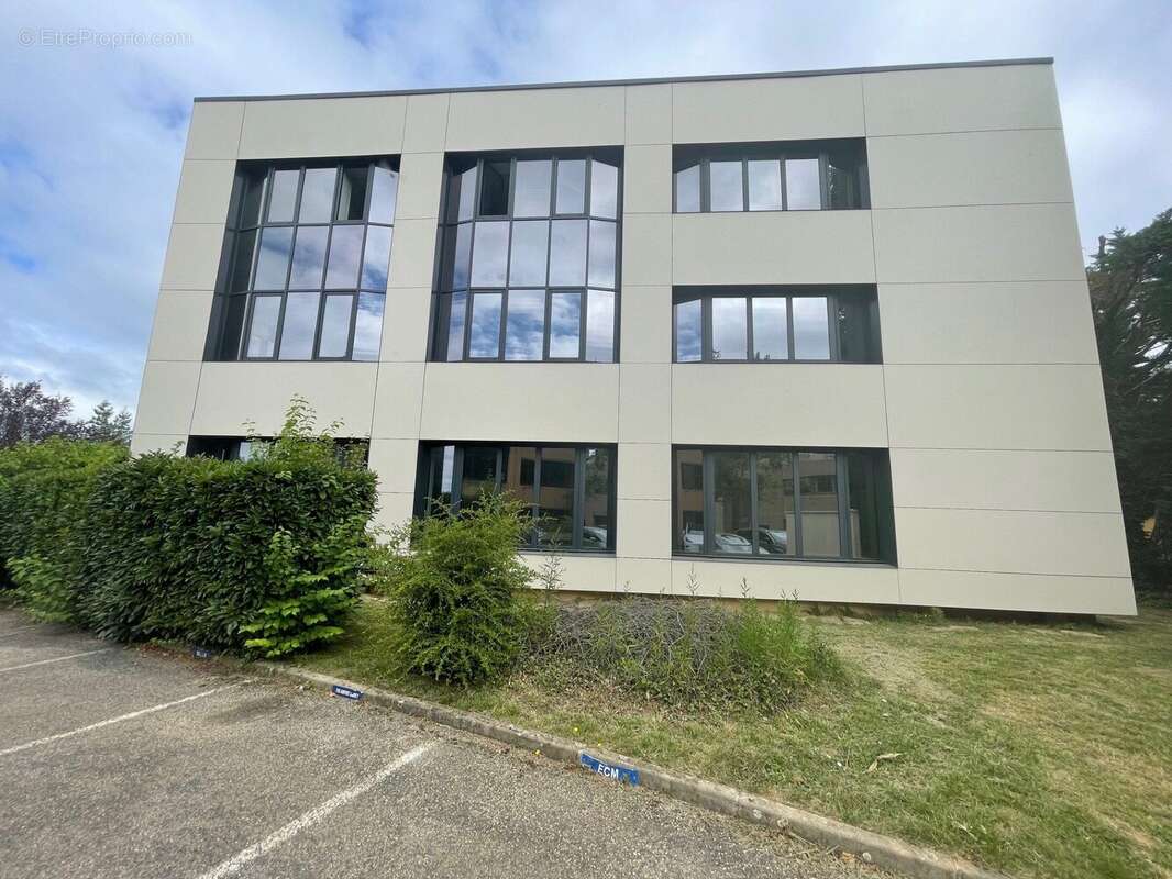 Commerce 563 m² à Saint-Didier-Au-Mont-D'or  - photo 2