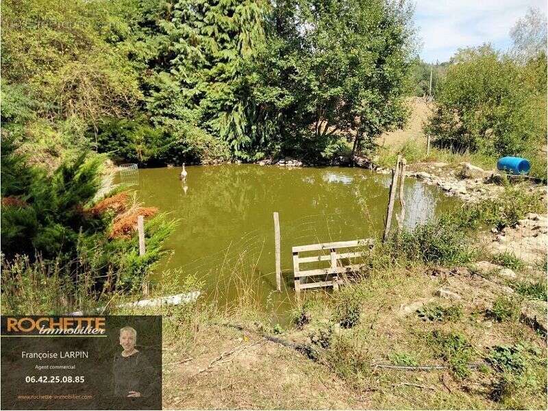 Maison à SAINT-ROMAIN-D&#039;URFE