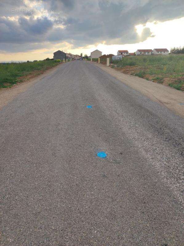 Terrain à SAINTE-BARBE