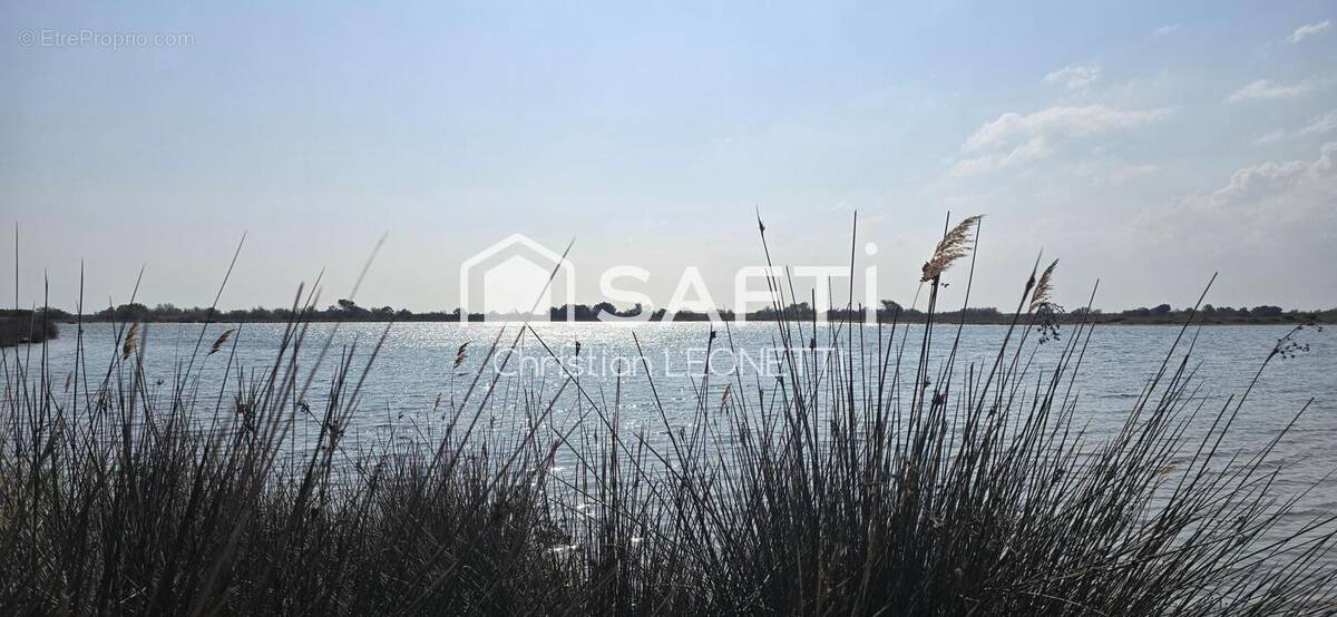 Photo 1 - Maison à GRUISSAN