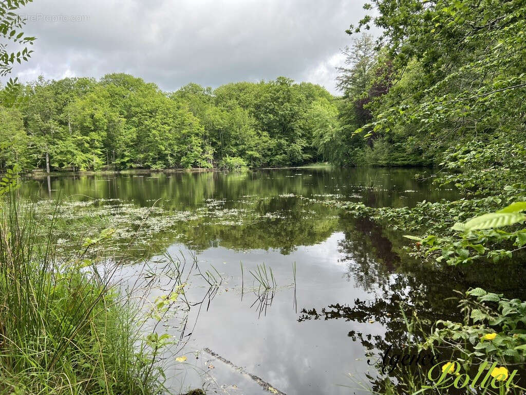 Maison à NEUVY-SUR-BARANGEON