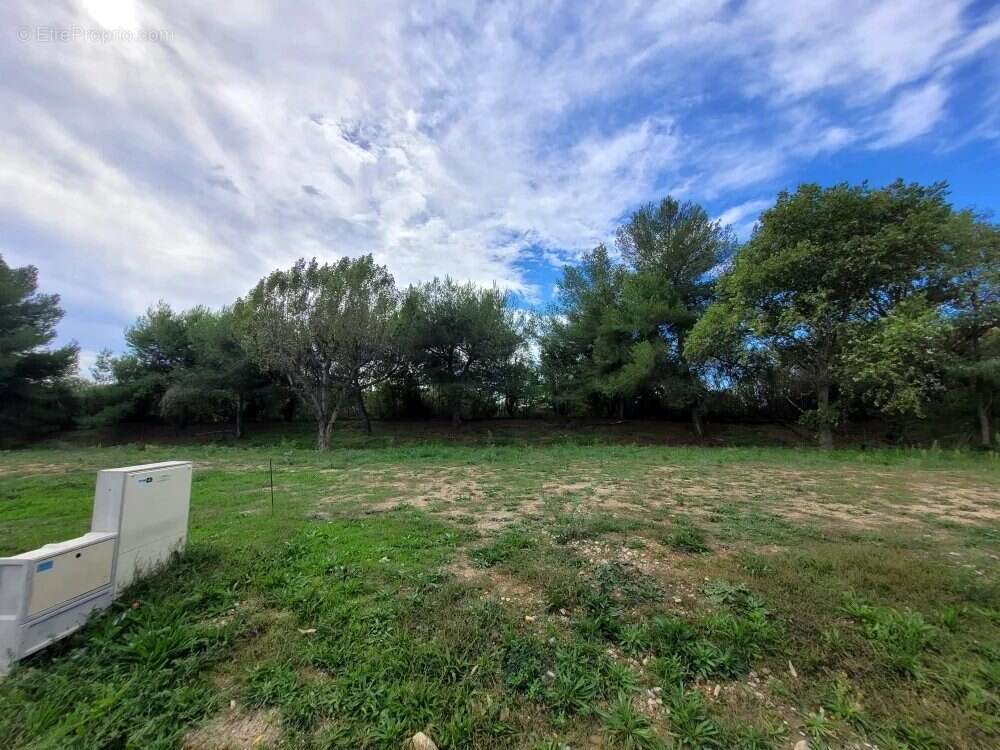 Terrain à JUVIGNAC