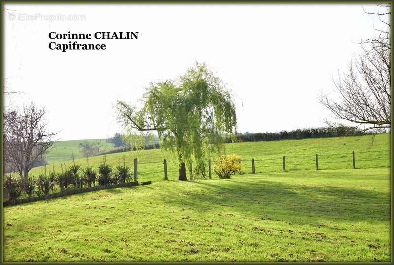 Maison à vendre 7 pièces SORBIER (03) - photo 32