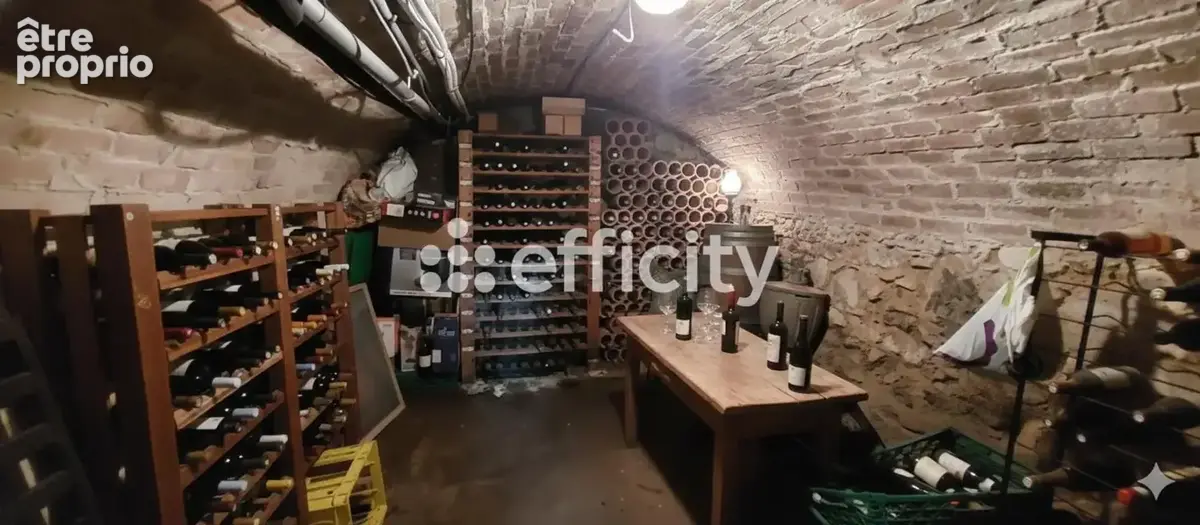 Maison 6 pièces 169 m² à vendre à Condrieu (69420) - photo 12