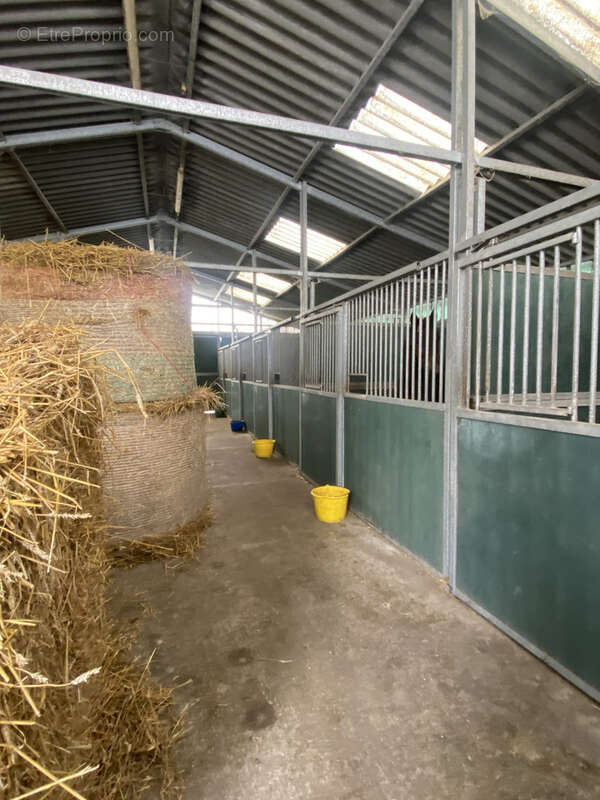 Maison à SAINT-POL-SUR-TERNOISE