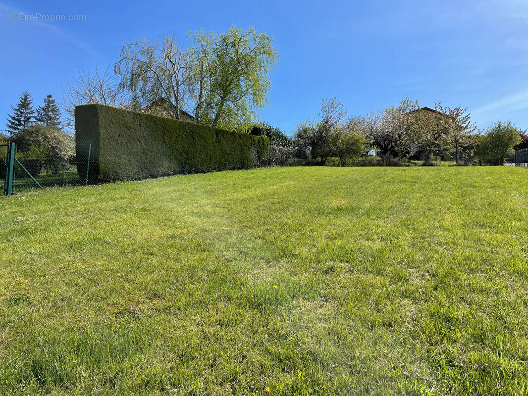 Terrain à POUILLY-LE-MONIAL