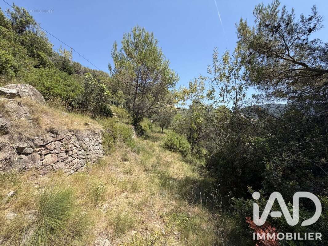 Terrain 2492 m² à Drap  - photo 4