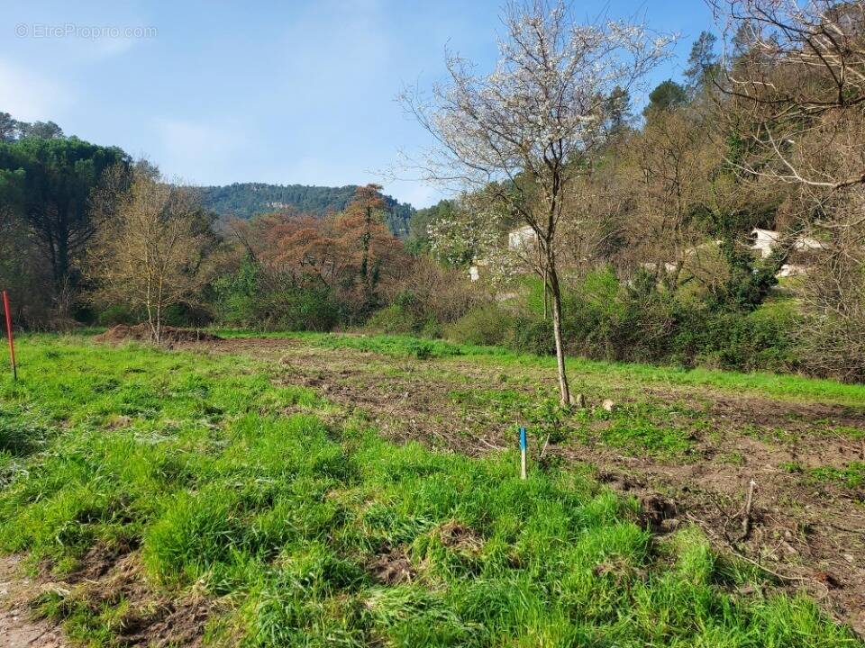 Terrain à SOLLIES-TOUCAS