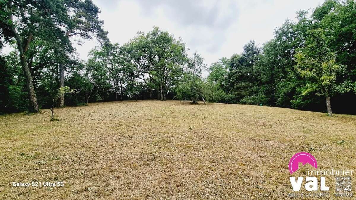 Terrain à MAISSE