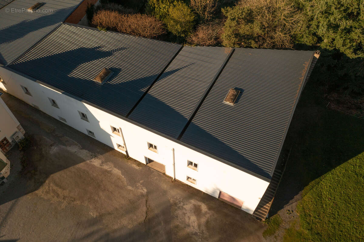 Commerce à SAINT-JAMES