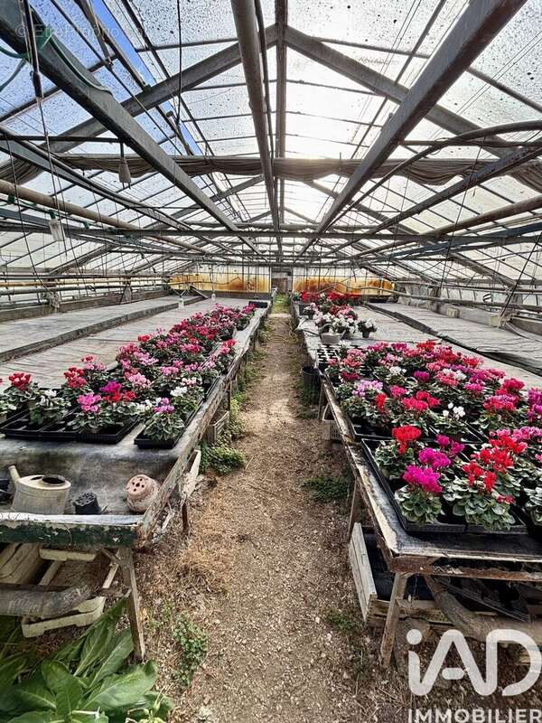 Photo 3 - Terrain à JOIGNY