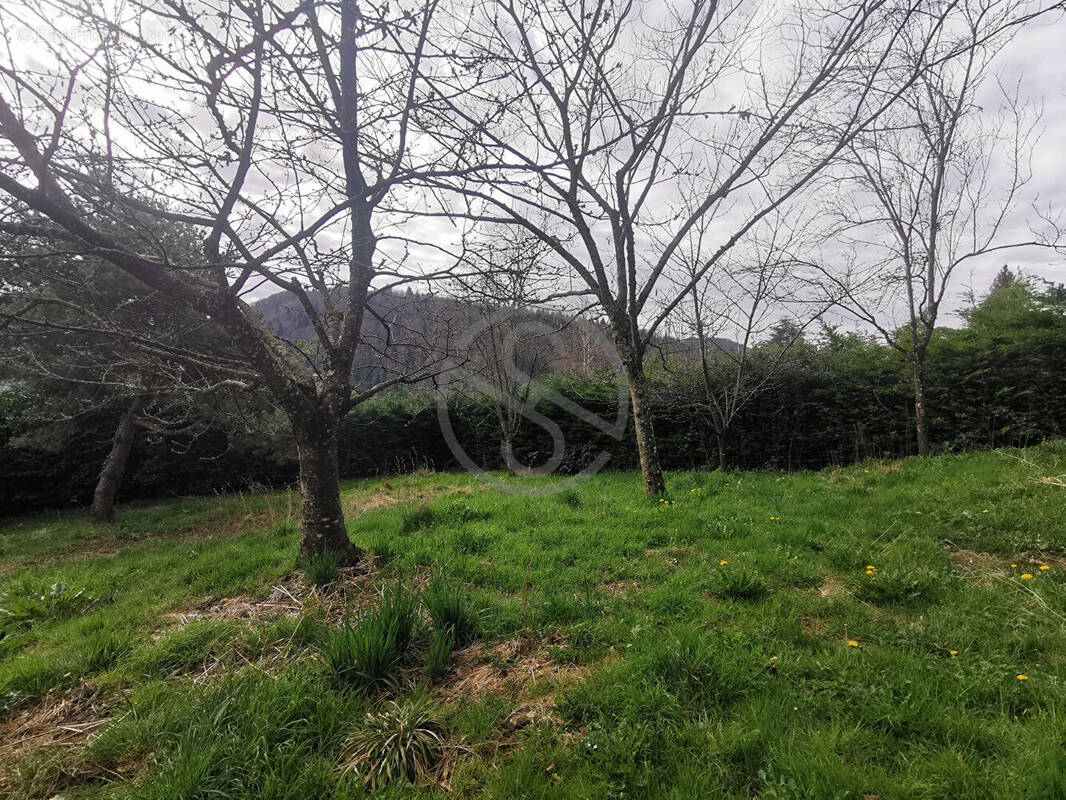Terrain à SAINT-NICOLAS-DE-MACHERIN