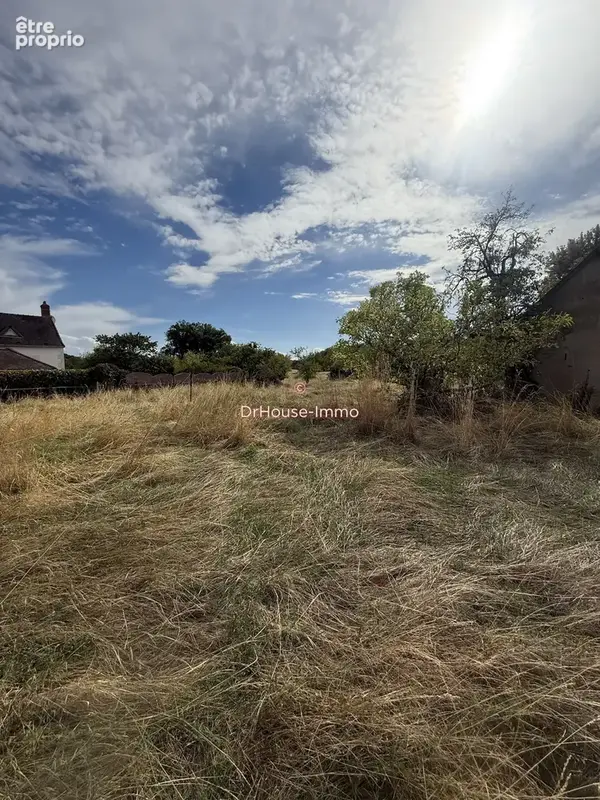 Terrain 6115 m² à Ambrault  - photo 6