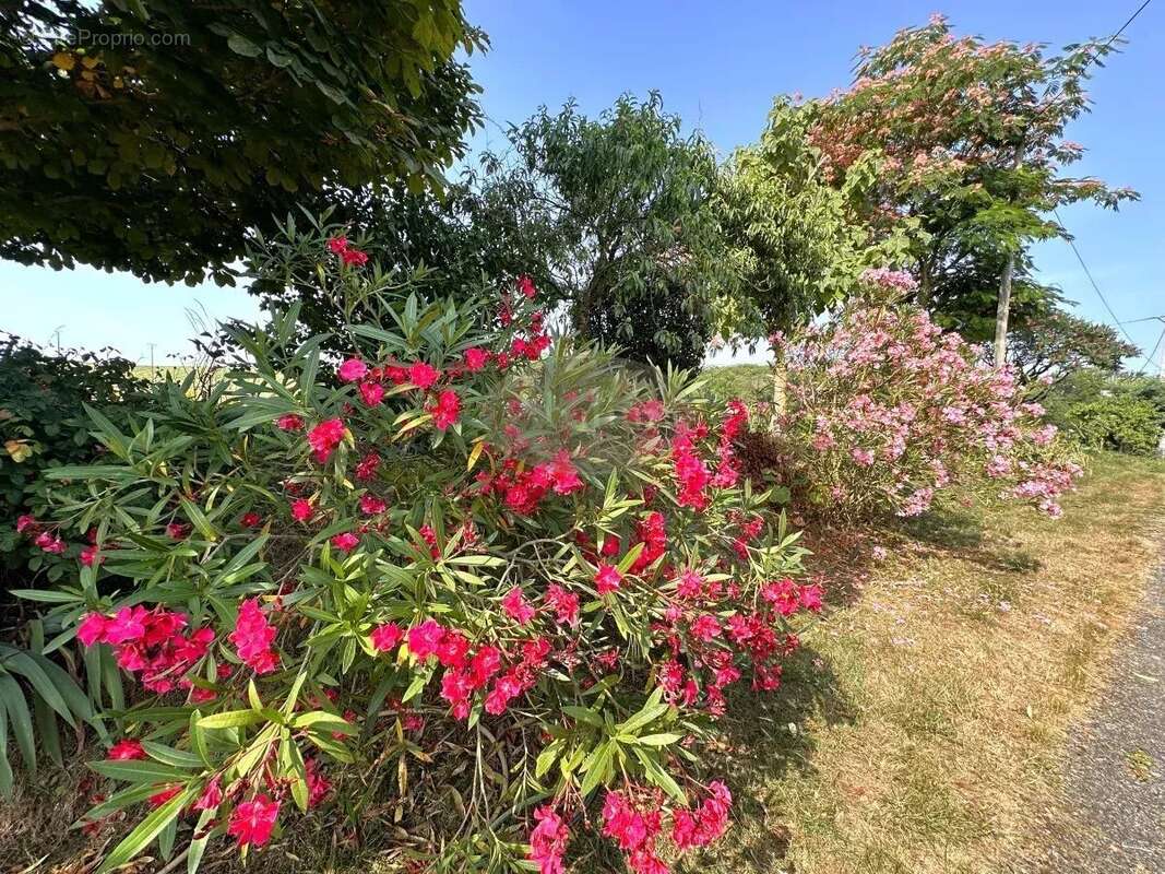 Maison à SAINTE-DODE