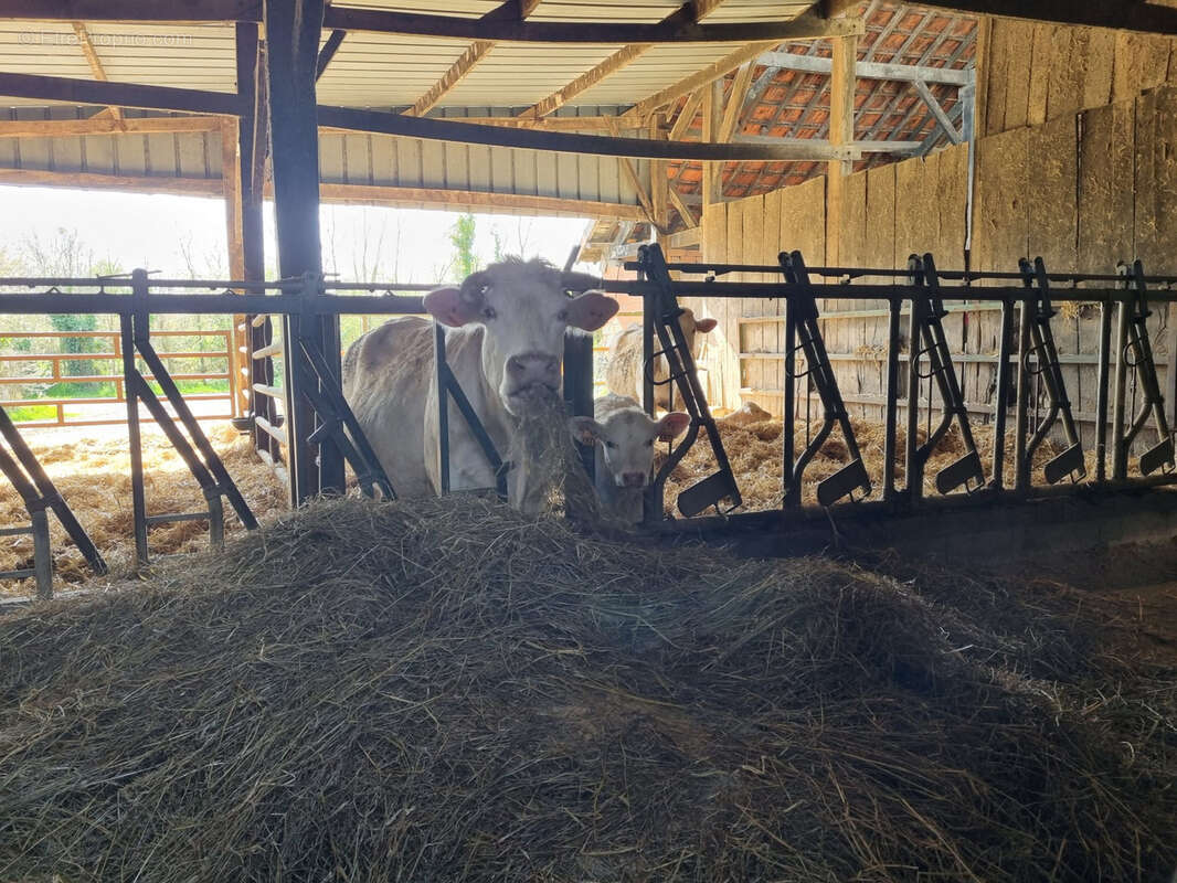 Ancien corps de ferme ! - photo 20
