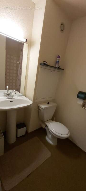 Salle d'eau et wc  - Appartement à SELONNET