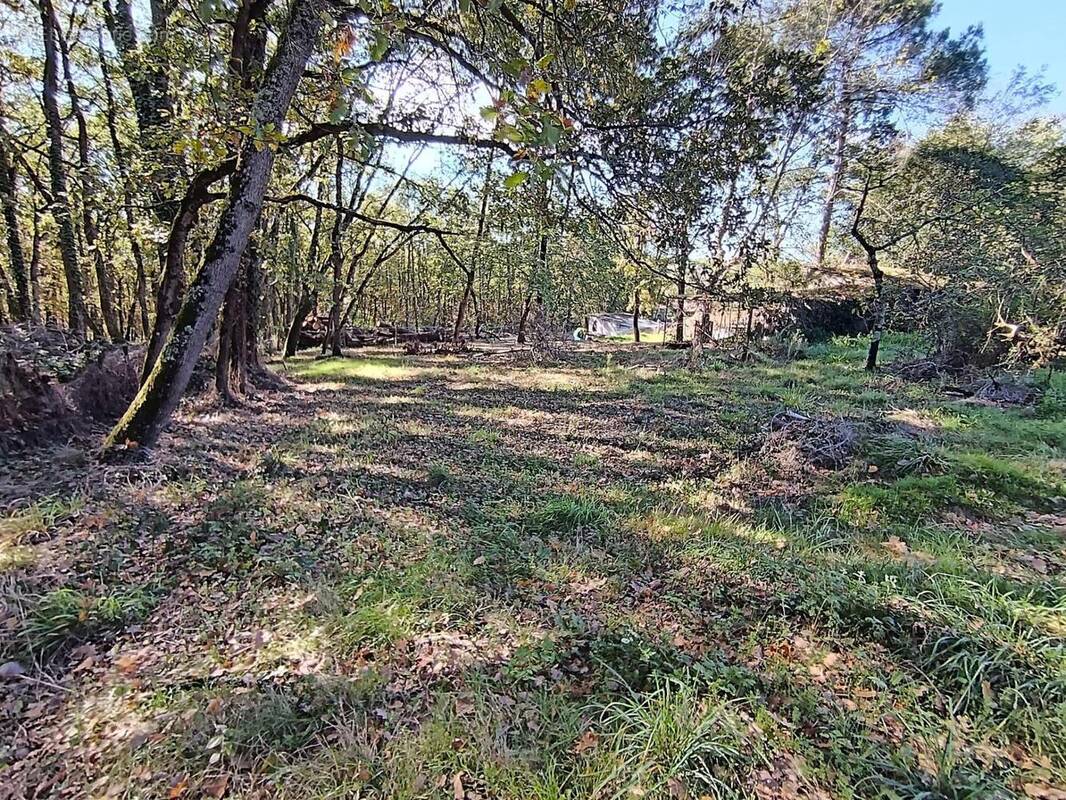 Photo 1 - Terrain à BOULOC