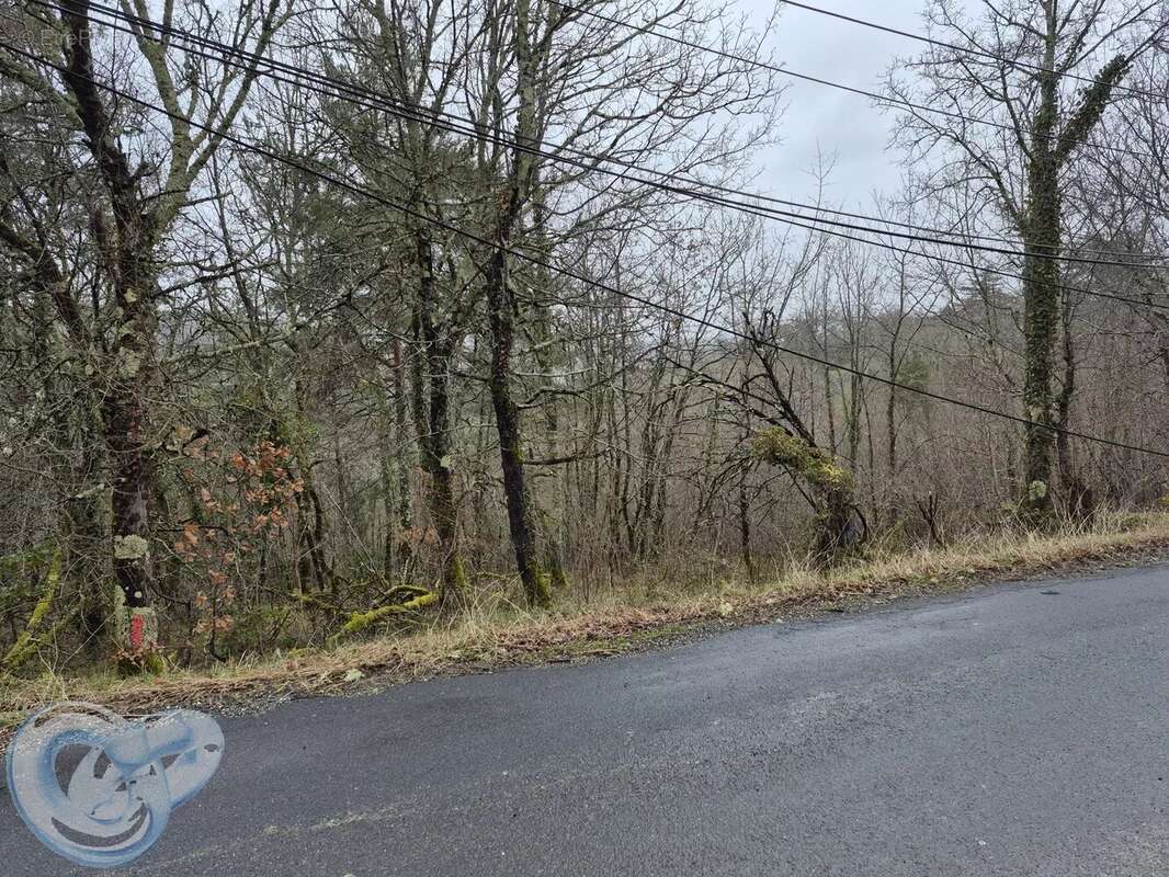 Terrain à SAINT-CYBRANET