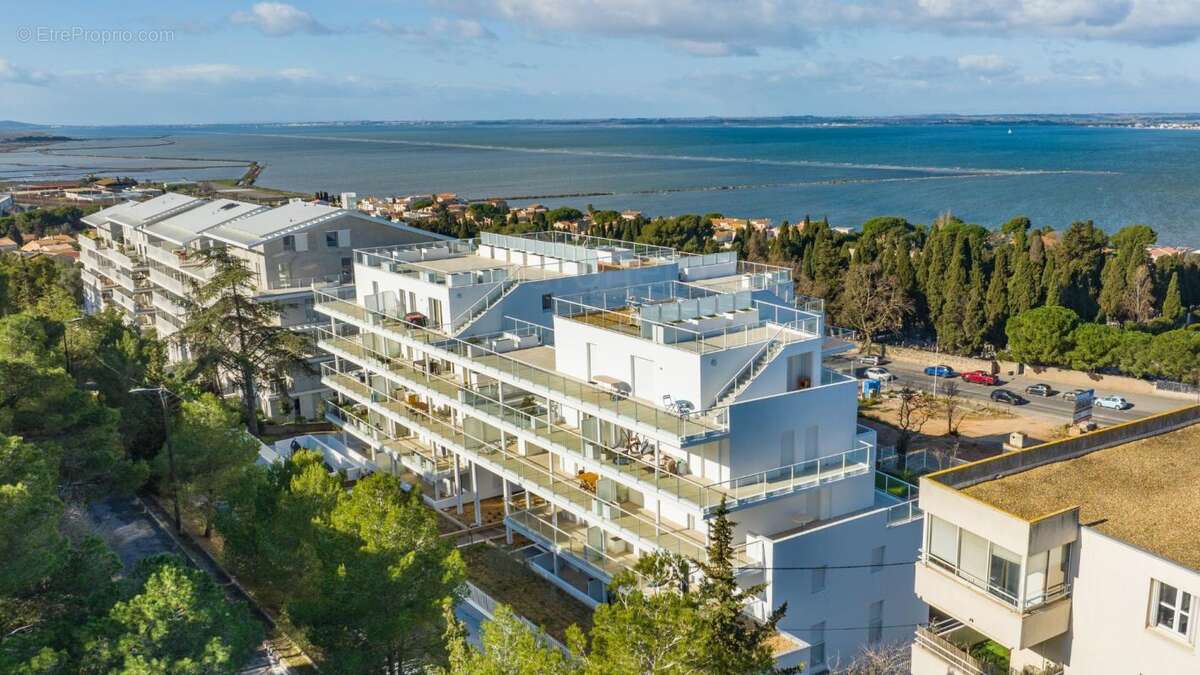Sète - Face au Bassin de Thau : T4 traversant avec 62 m² de terrasse - photo 8