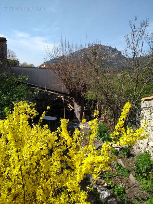 Maison à SAINT-HIPPOLYTE-DU-FORT