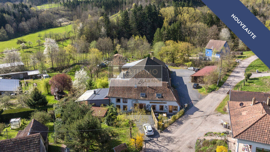 Maison à STEIGE