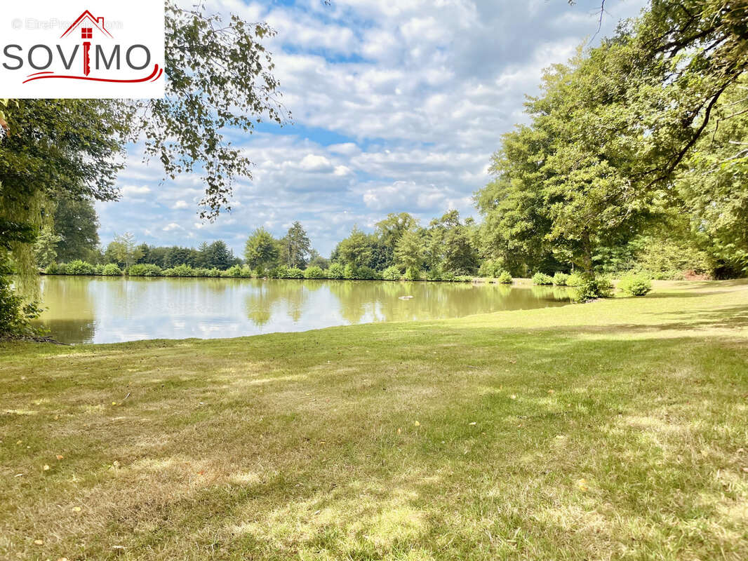 Terrain à SAINT-JUNIEN