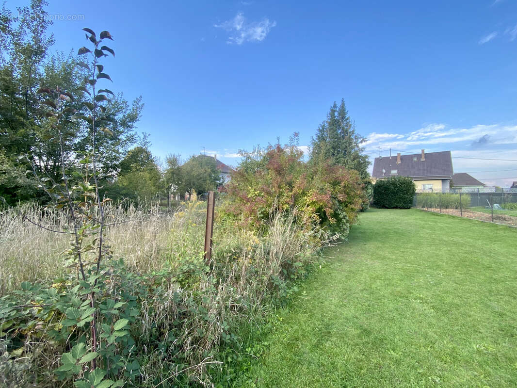 Terrain à ROESCHWOOG