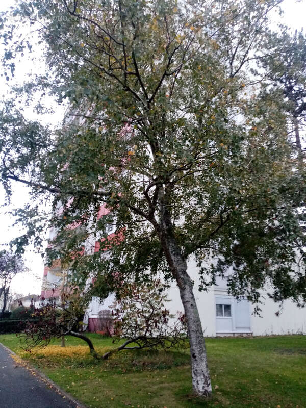Appartement à ANGERS