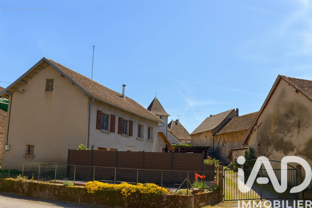 Photo 1 - Maison à SAINT-VICTOR-DE-MORESTEL