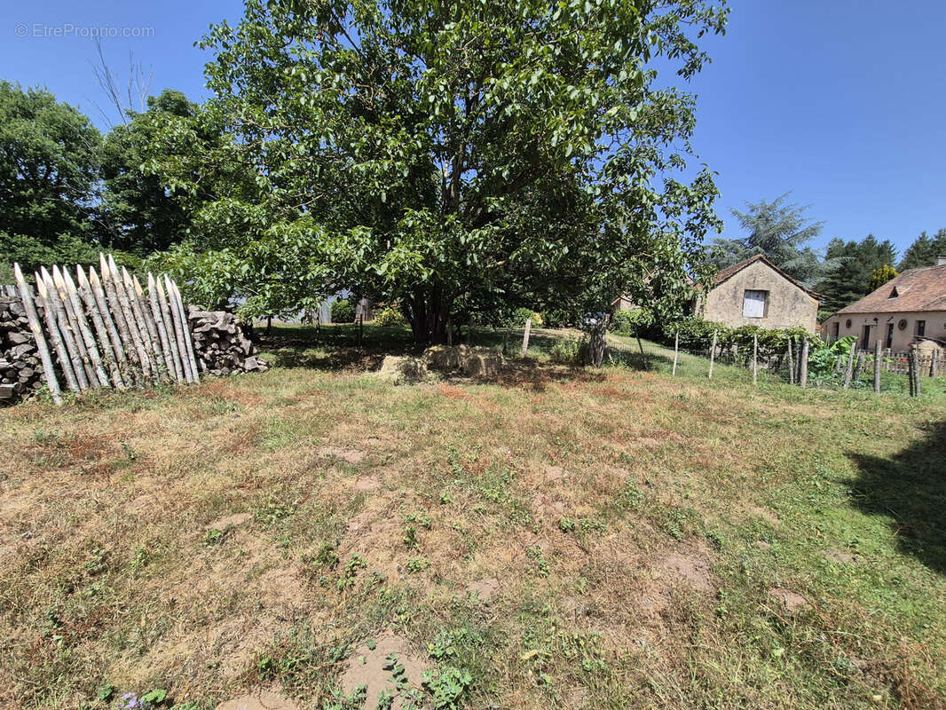 A vendre - exceptionnel ! secteur de parce sur sarthe - photo 8