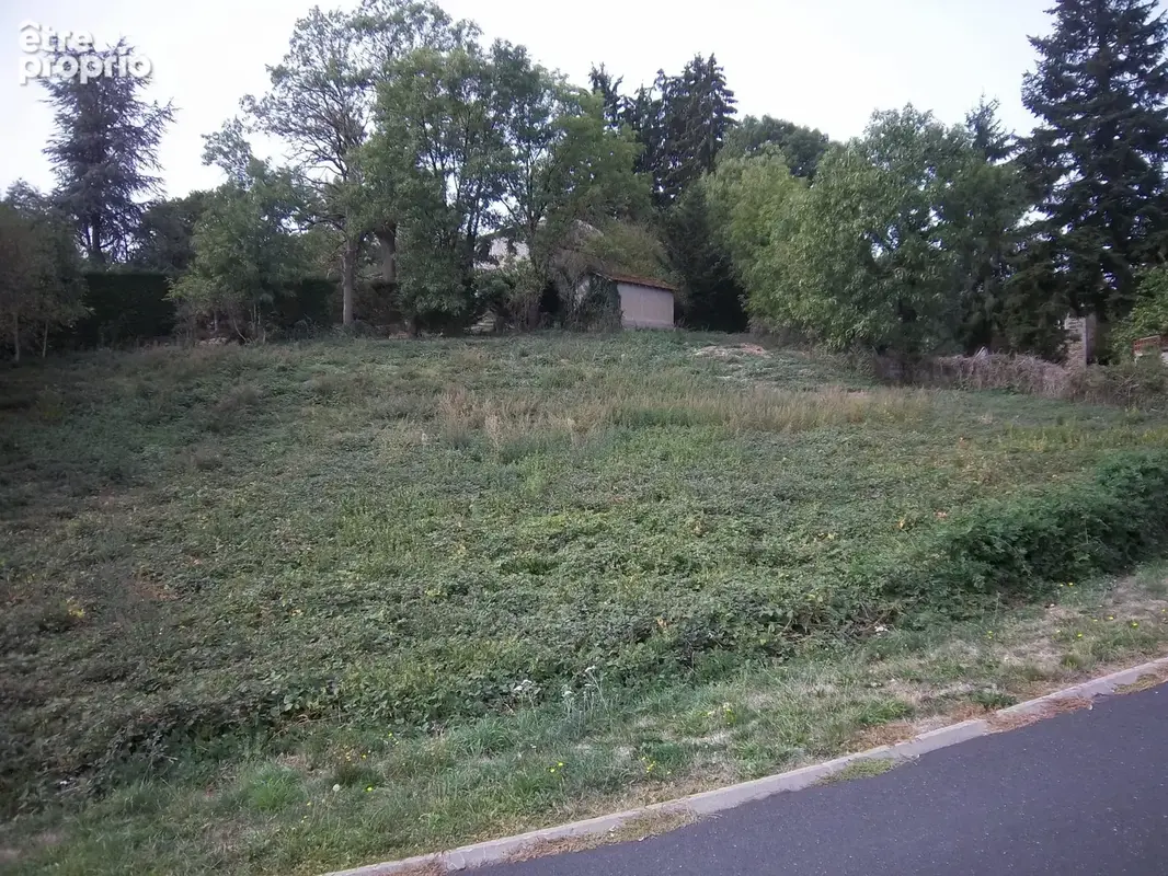 Terrain 1 514 m² à vendre à Fayet-Le-Chateau (63160) - photo 3