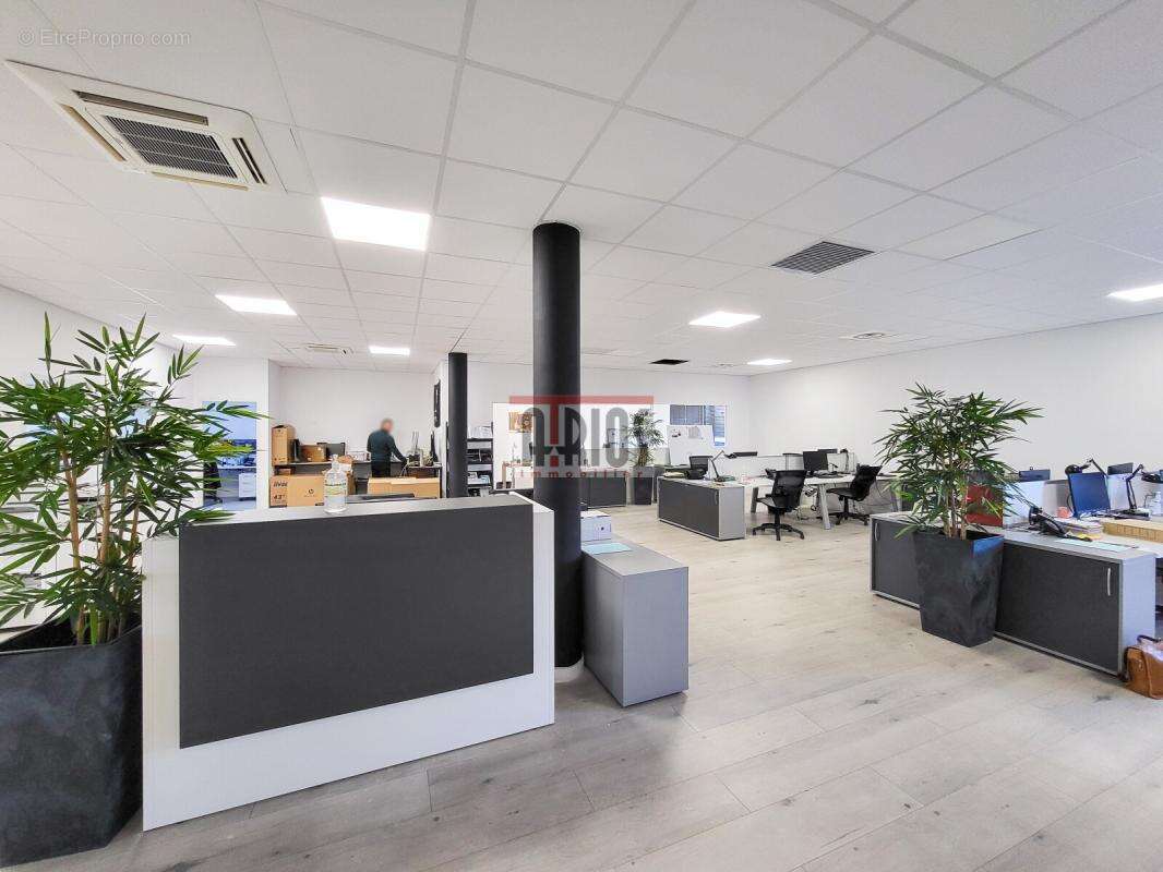 Commerce à SIX-FOURS-LES-PLAGES