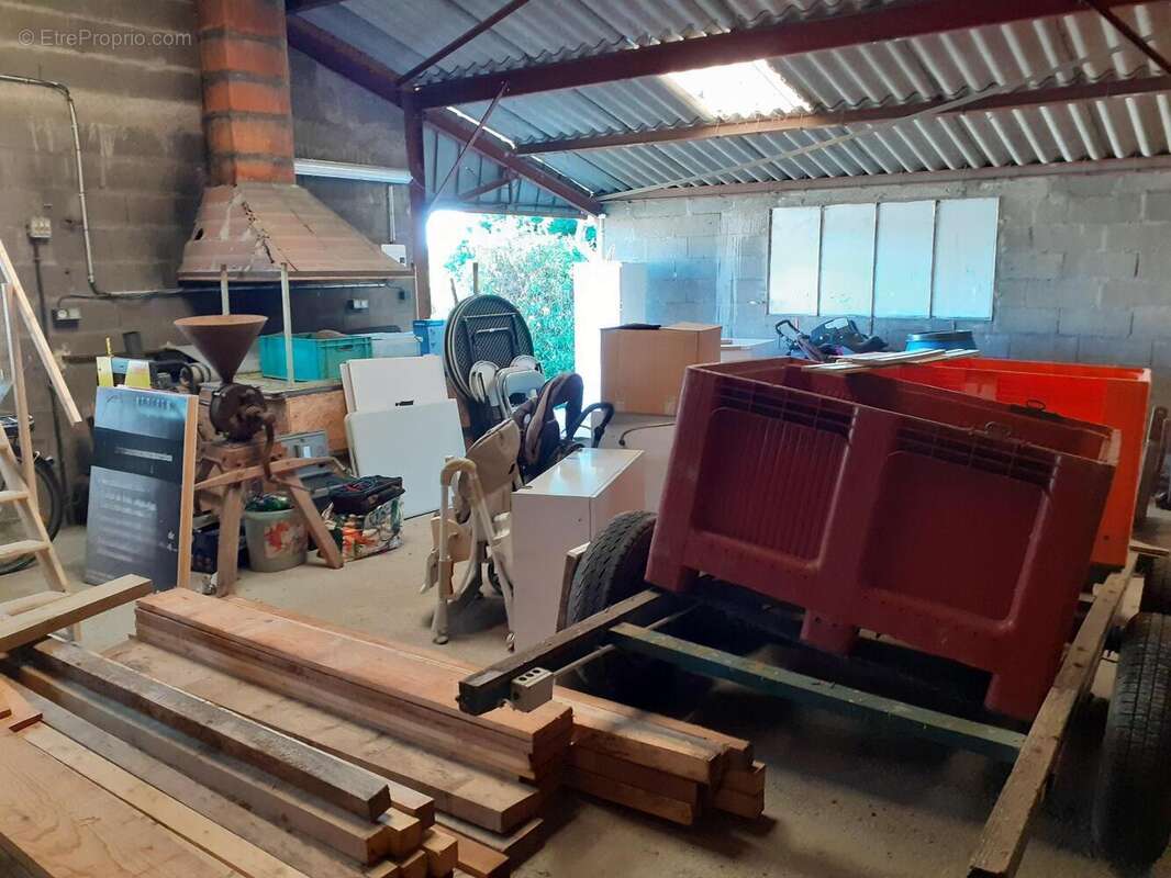   - Appartement à MONTREUIL-BELLAY