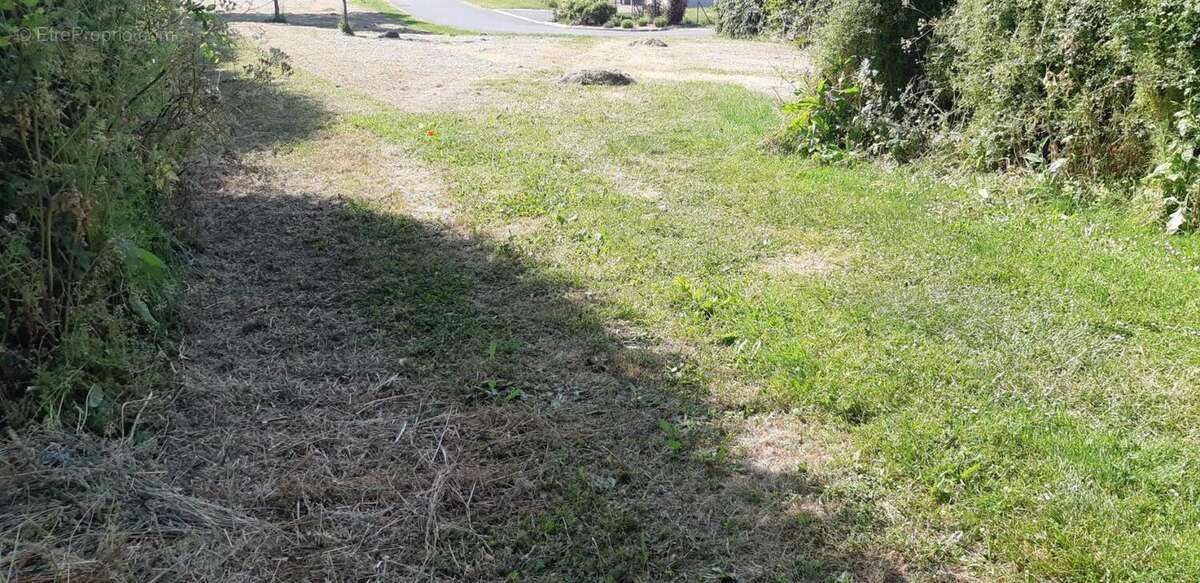 Terrain à SAINT-JULIEN-DE-VOUVANTES