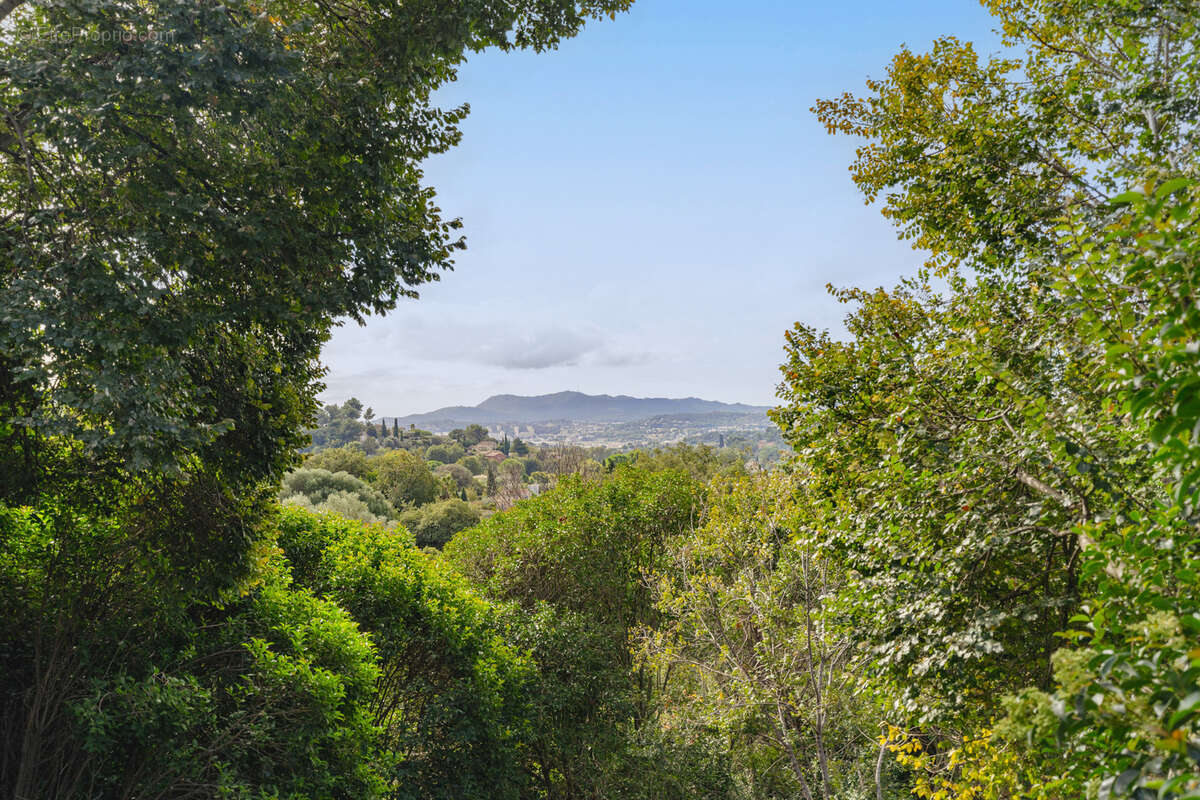 À Vendre   Villa d’Exception à Ollioules - photo 12