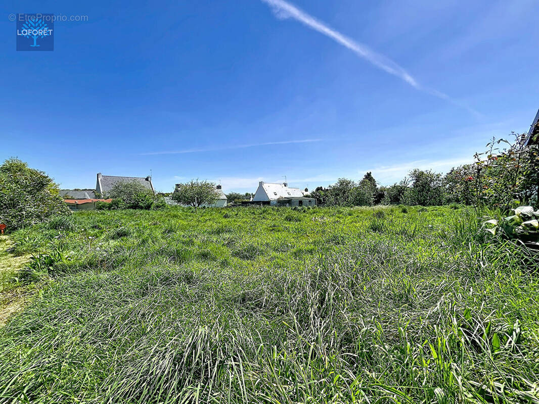 Terrain à SAINTE-HELENE