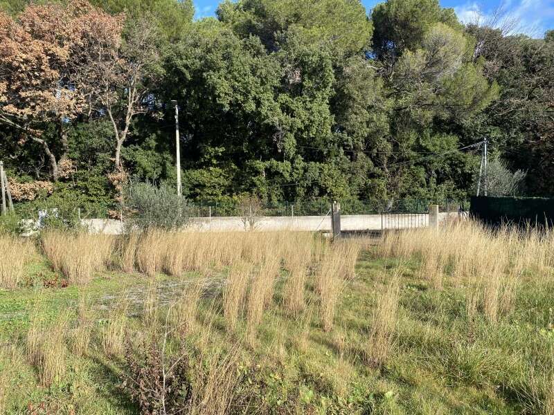 Terrain à MONTPELLIER